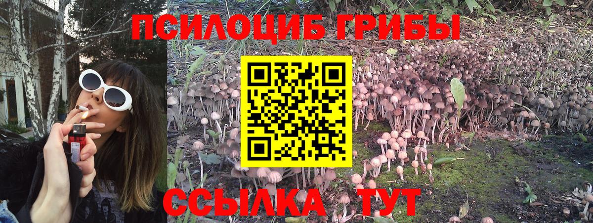 Галлюциногенные грибы прущие грибы  Вход с VPN  закладки  Гуково 
